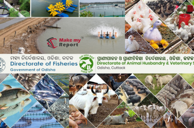 Streamlining Fisheries and Animal Husbandry Reporting with Make My Report