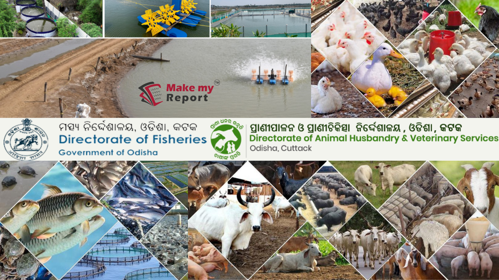 Streamlining Fisheries and Animal Husbandry Reporting with Make My Report